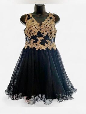 Blondie Nites Black mini Dress with Gold Lace Bodice